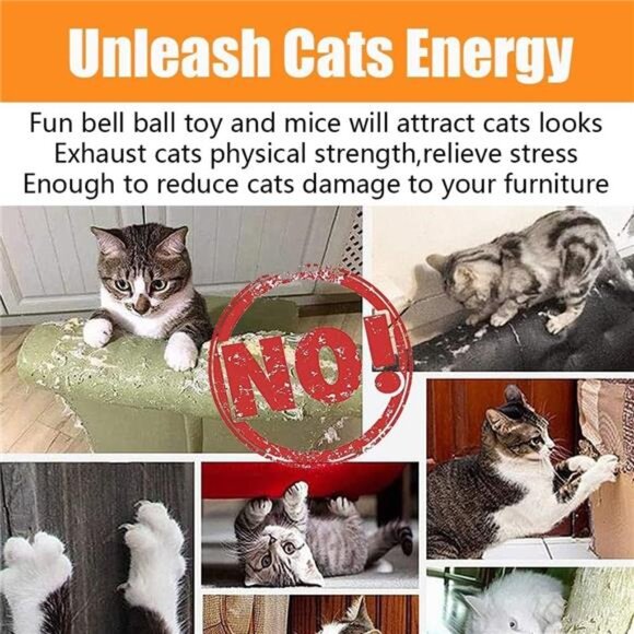 21 Pcs Cat Toys for Indoor Cats Collapsible Cat Tunnel Interactive Feather - Picture 15 of 16